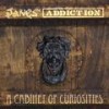 I Would For You (Radio Tokyo Demo) - Jane's Addiction