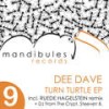 TURN TURTLE (DJ From The Crypt Remix) - Dee Dave&DJ From The Crypt