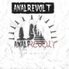 Intro, Pt. 1 (Explicit) - Analrevolt