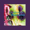 Symphonica Electronica - Adam Saunders