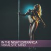 In the Night Esperancia (Suerte Esperancia Mix) - Vibralistic Mind