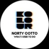 What I Used to Do (Dubworx Mix) - Norty Cotto&2022 Norty Cotto