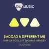 Ship Of Fools - Different Me&Saccao&Thomas Gandey