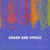 Sugar and Spices (Special Chance Mix) - Paul Liner