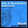 Madhouse (Nikola Gala Remix) - Nikola Gala&2clic