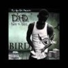 Freaky Song (Explicit) - Bird100