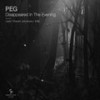 Disappeared In The Evening (Original Mix) - Peg