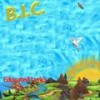 Incogintro (Explicit) - BIC