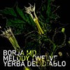 Melody Twelve (Original Mix) - Borja MD