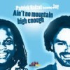 Ain't No Mountain High Enough (Radio Edit) - Patrick Balzat&Jay