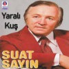 Ne dostum ne düşmanım - Suat Sayın