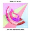 Wide Open(feat. Ian Gott) (RØGUENETHVN Remix) - RØGUENETHVN&Midsplit&Ian Gott