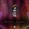 Working Memory (Psilocybe Project Remix) - Psilocybe Project