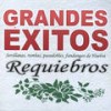 Cuando falta un rociero (Sevillanas) - Requiebros