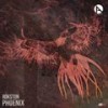 Phoenix (Original Mix) - Rokston