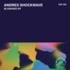 No Sleep (Orginal Mix) - Andres Shockwave