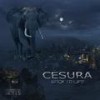 Back To Life (House Mix) - Cesura