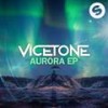 Don't You Run (feat. Raja Kumari) - Vicetone&Raja Kumari