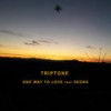 One Way to Love - Triptone&Sedna