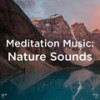 Piano Nature Sounds - Deep Sleep&Sleep Sound Library&BodyHI