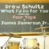 What I'd Do for You (feat. Four Tops & James Jamerson Jr.) - Drew Schultz&Four Tops&James Jamerson Jr.