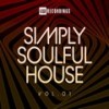 Never Want (Danny Phillips Remix) - Kindred Soul&Danny Phillips