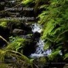 Stream of Water #1 - BOSCO RECORDINGS