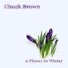 A Flower in Winter - Chuck Brown