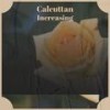 Calcuttan Increasing - Rafd Heyner