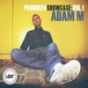 Positive Vibrations (Original Mix) - Adam M&Andy Farley