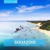 Sarigama (Original Mix) - Squazoid