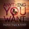 Anything You Want (Original Mix) - Stephan Vegas&Runer