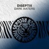 Dark Waters (Extended Mix) - Diseptix