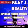 Reality(House Dance Synth) - Kley J.