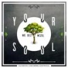 Your Soul (Original Mix) (其他) - Mr. Belt&Wezol