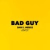 Bad Guy (Remix) - Dani L. Mebius