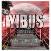 Yibus (Original) - Minitraumz