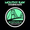 Chasing Bats (Justin Carey Remix) - Mouthy Raw