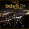 Brooksville City (feat. Mr P. I. E.|Explicit) - T-Rob&Unknown Singer