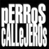 Matemáticas de calle - Perros Callejeros