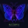 Butterfly (Feat. J-Oh) - DJ Rockmaster B&JOH