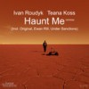 Haunt Me (Original Mix) - Ivan Roudyk&Teana Koss