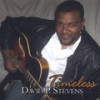 Kweli's Fortune - David P Stevens