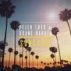 Sunshine (Radio Edit) - Peter Luts&Duane Harden