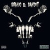 What You Need (Explicit) - Bravo&Bandit