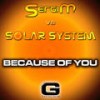 Because of You (Radio Edit) - Sergi M&Solar System