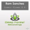 Dance Dance (Original Mix) - Ram Sanchez