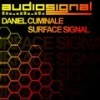 Surface Signal - Daniel Cuminale