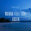 Wanna Feal Love Again (Explicit) - Jorrel&GMC