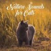 Pure Relaxation - Pet Care Club&Rest&Relax Nature Sounds Artists&Sleep Sound Library